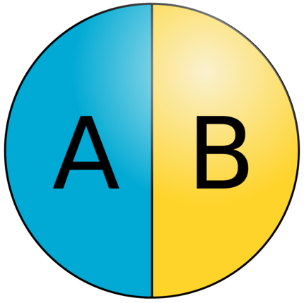 Diagram of a Janus particle, showing that it has a different composition on each half of the particle.