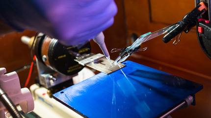 image of a hand holding a pipette and working with a sample